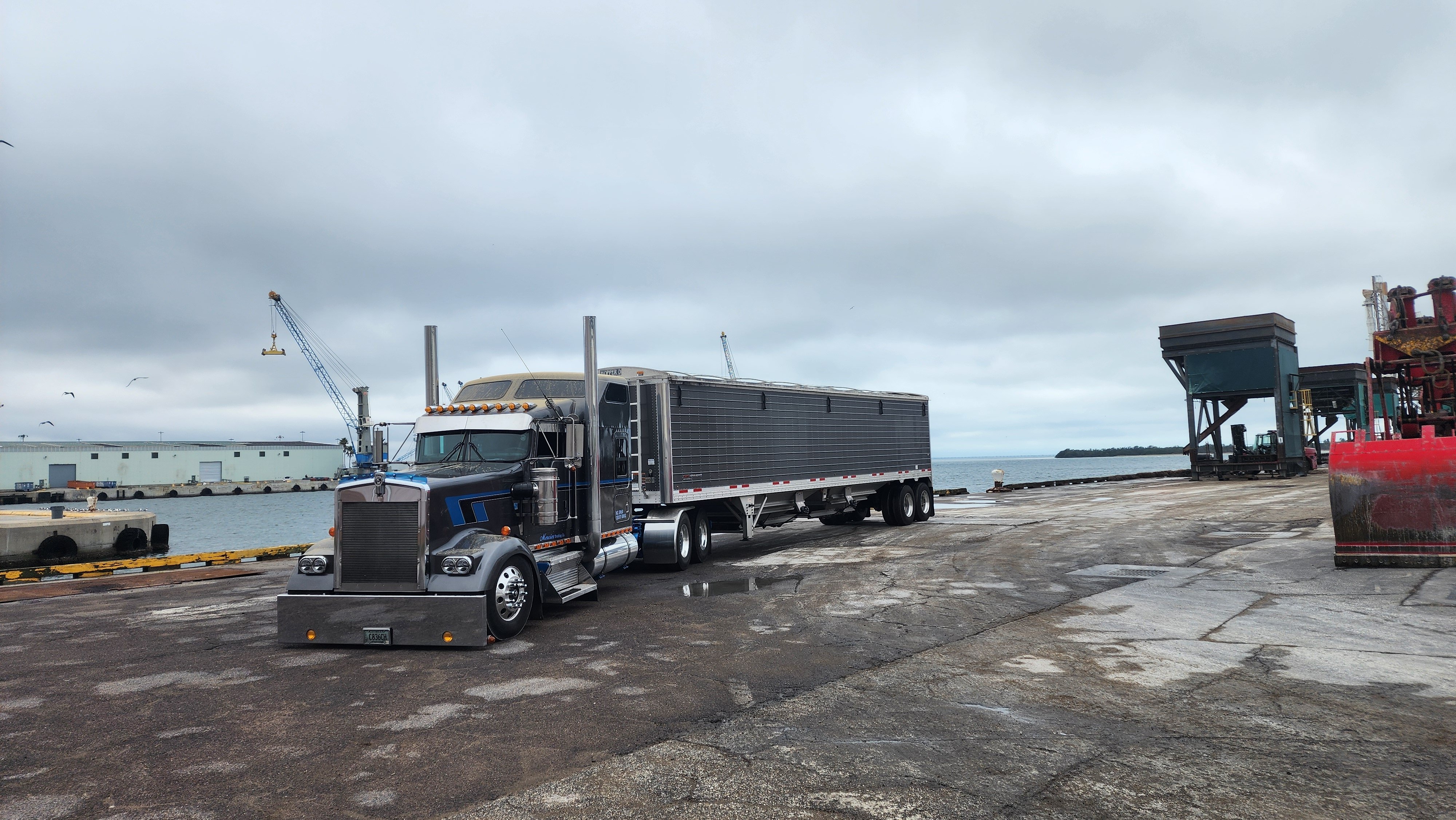 Jt M 2005  W900L