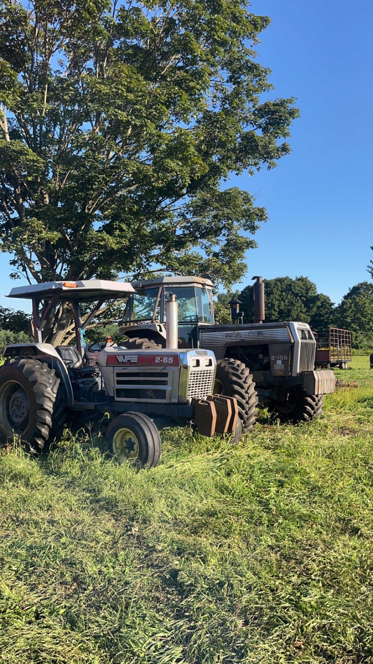 Paul-Michael Cristino 1982 White Farm Equipment 2-155