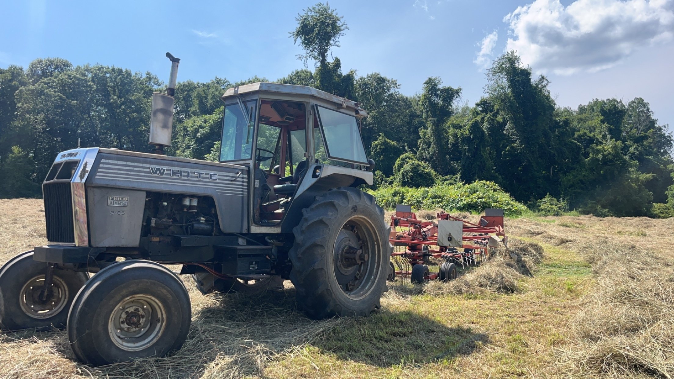 Paul-Michael Cristino 1979 White Farm Equipment 2-85