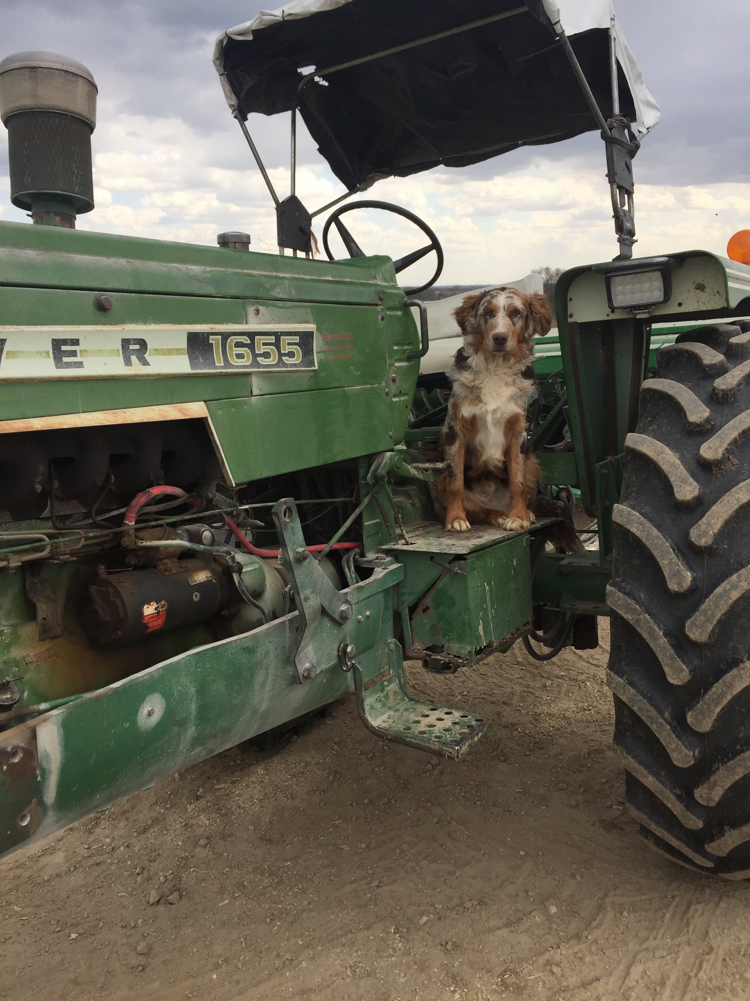 Adam S 1974 Oliver Farm Equipment Company 1655