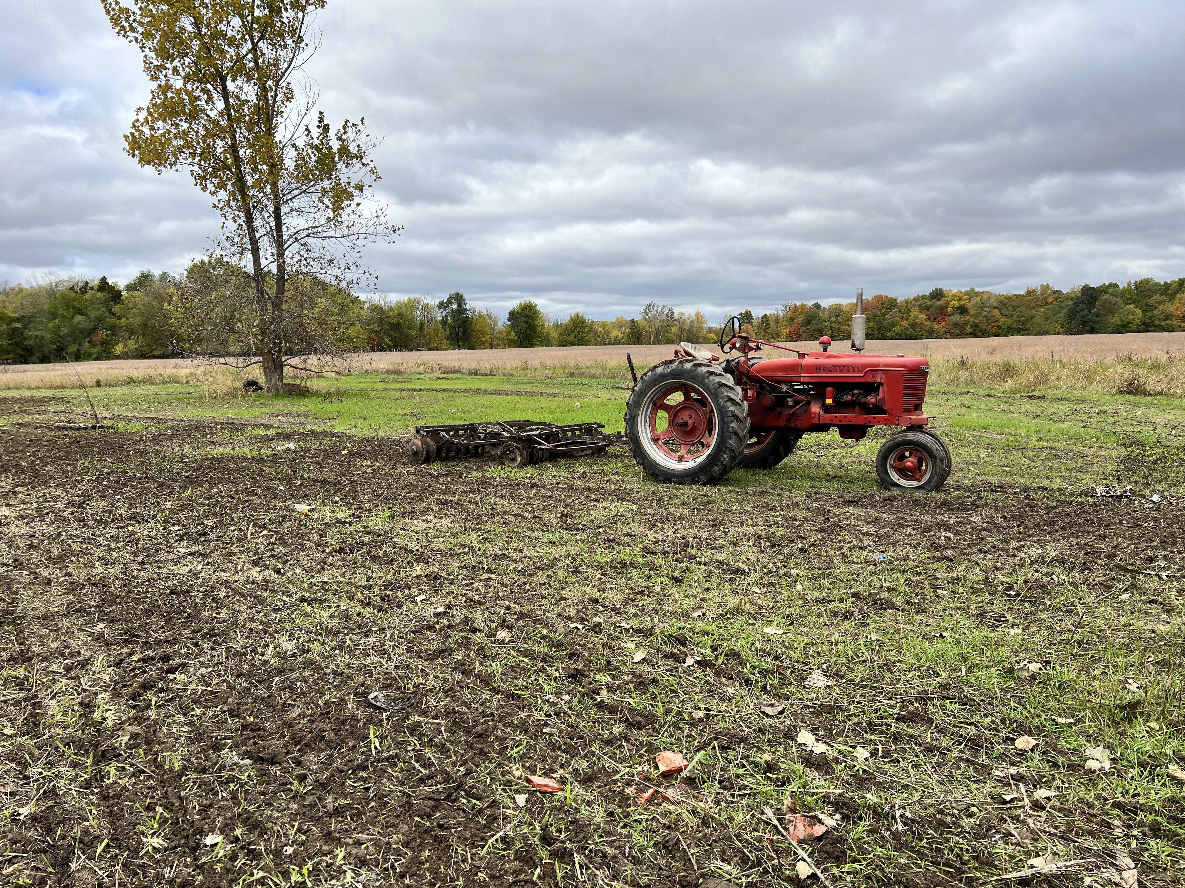 Eli T 1947 Farmall H