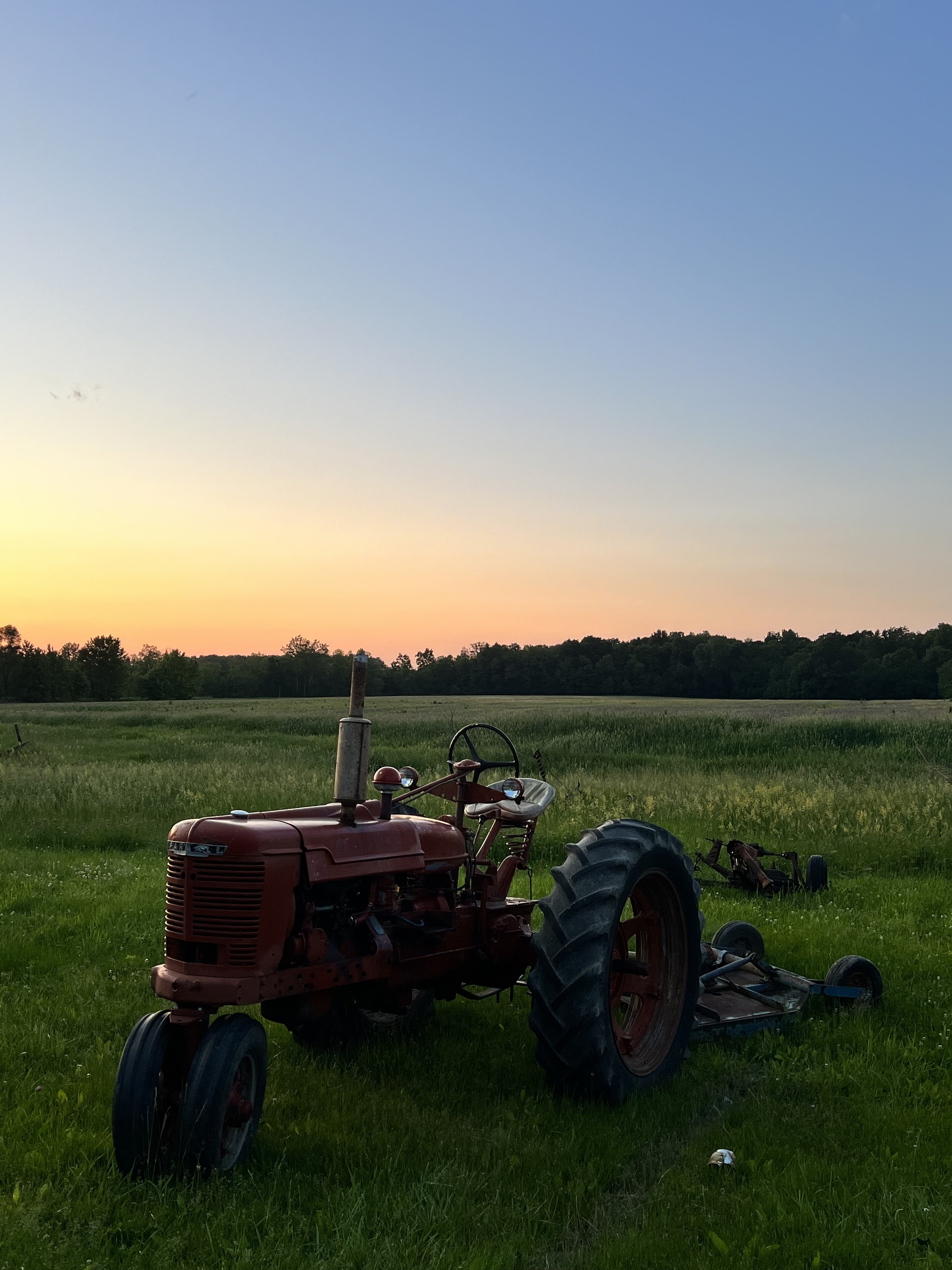 Eli Thomas 1947 Farmall H