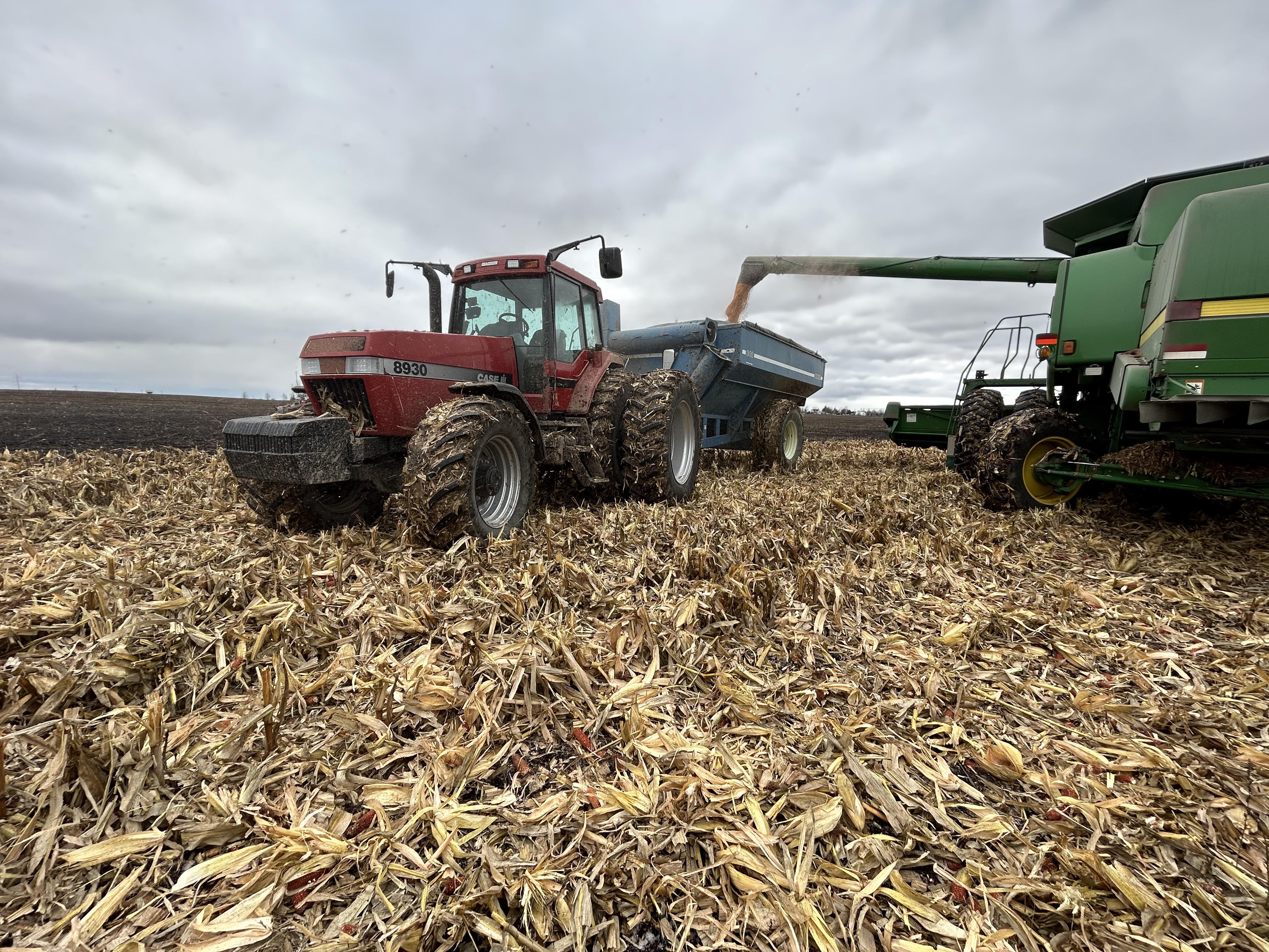 Kyle Backes 1998 Case IH 8930