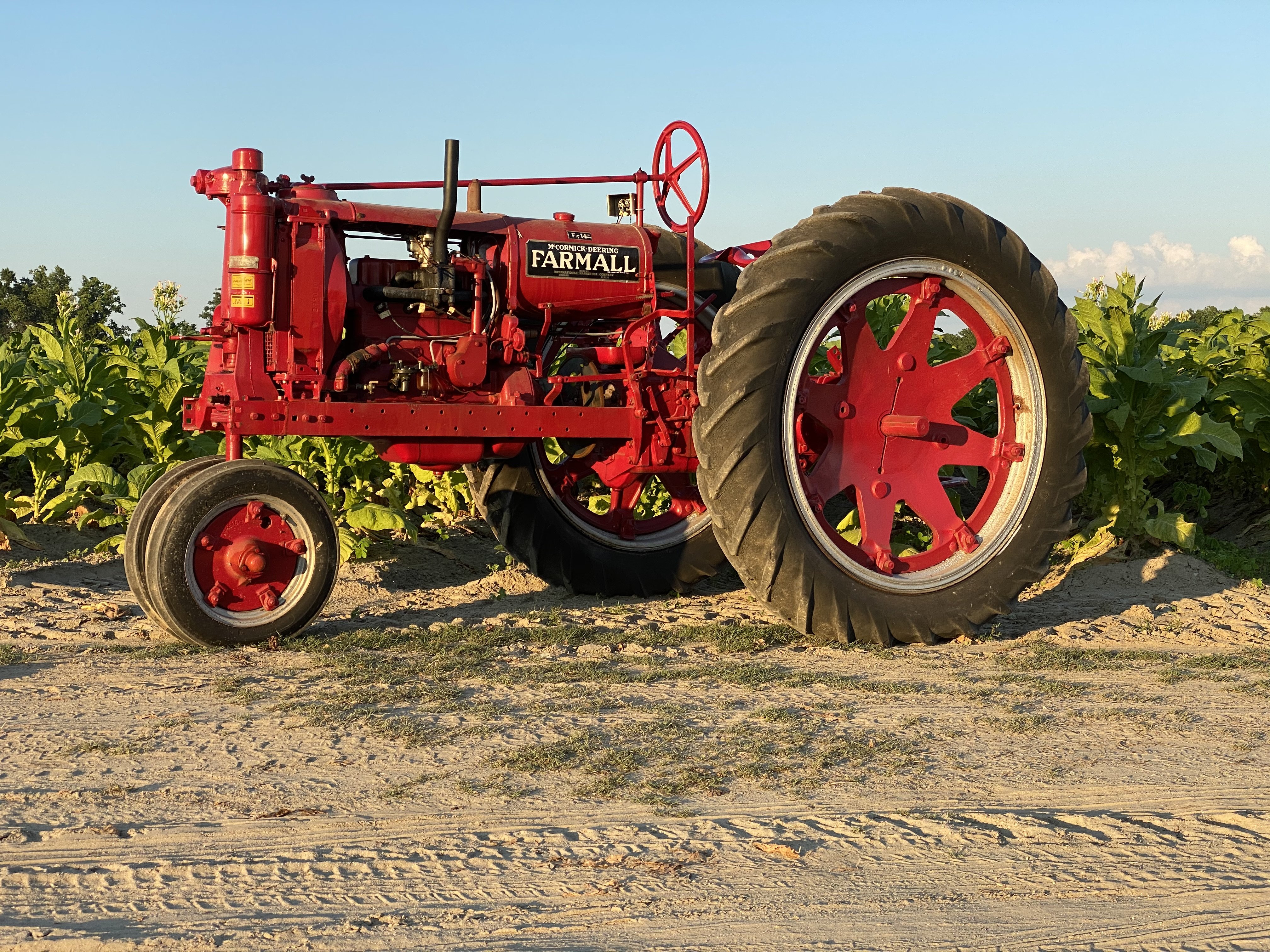 Drew G 1939 Farmall F14