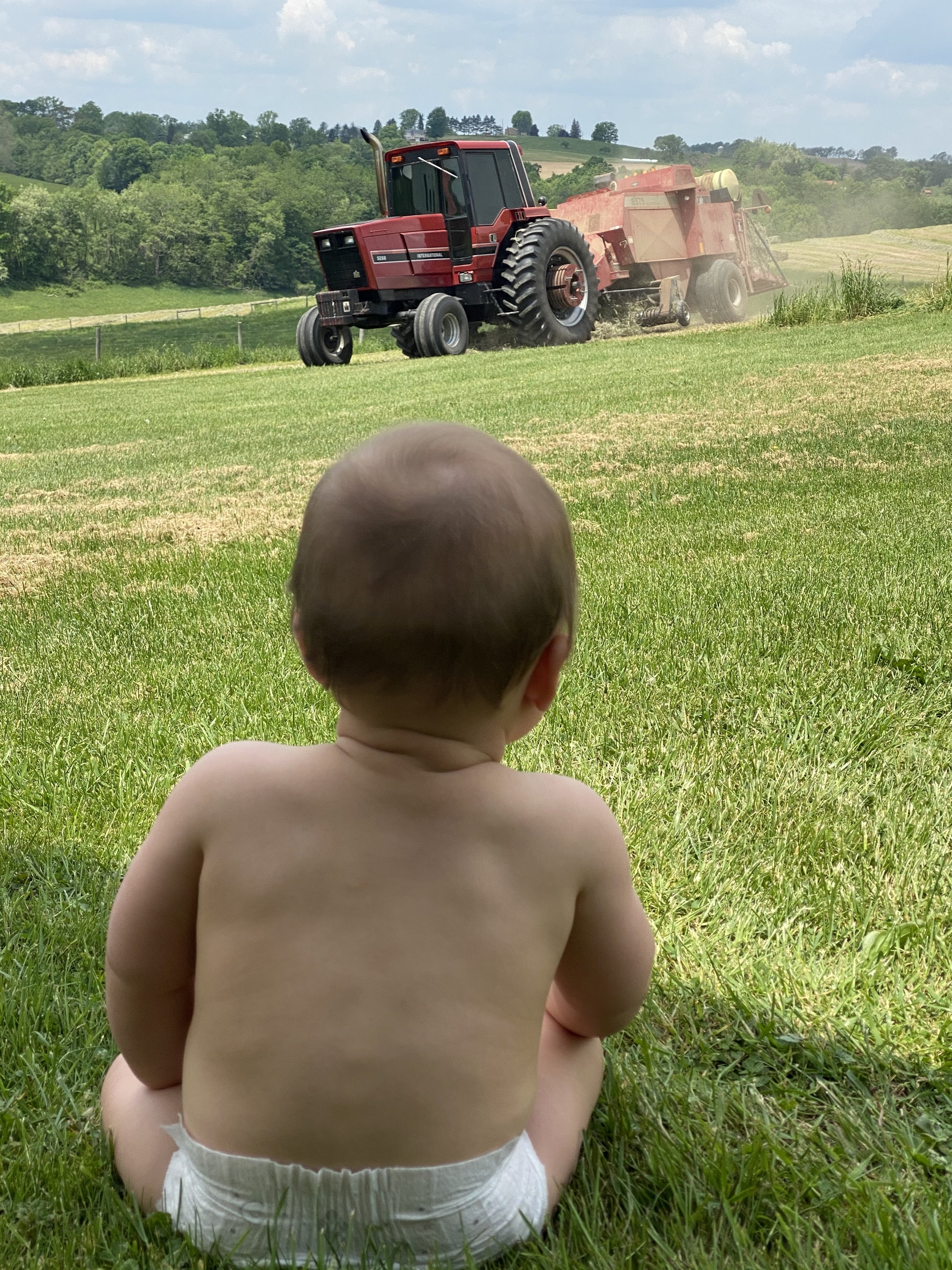 Katie K 1981 International Harvester 5298