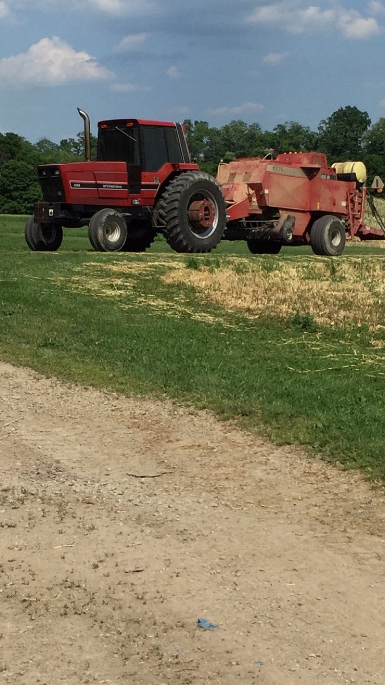 Katie K 1981 International Harvester 5298