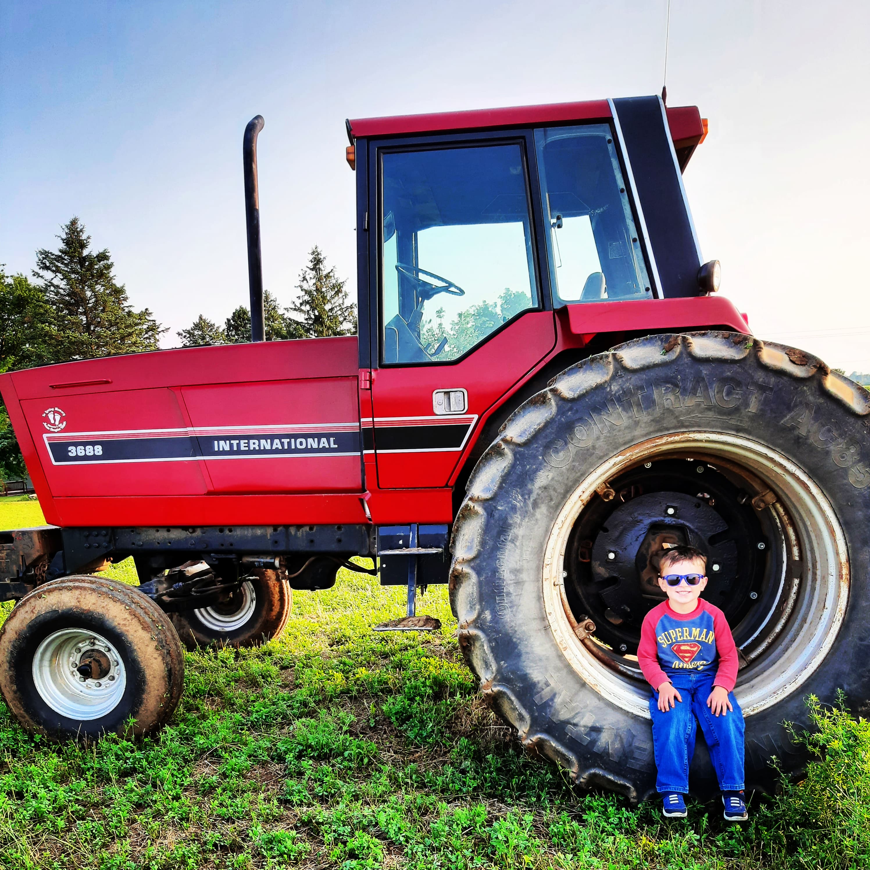 Aaron Walsh 1983 International Harvester 3688