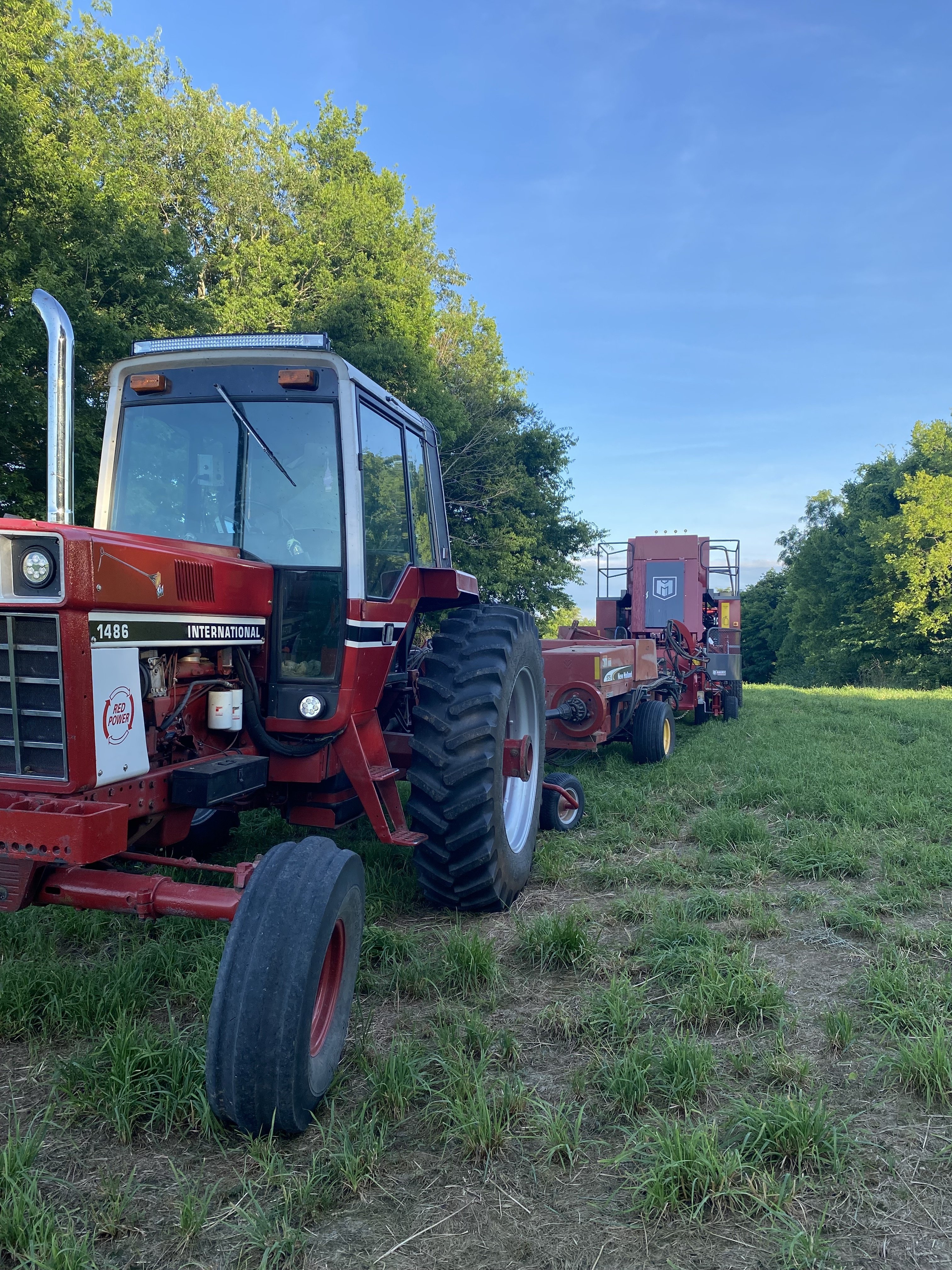 Lane H 1979 International Harvester 1486