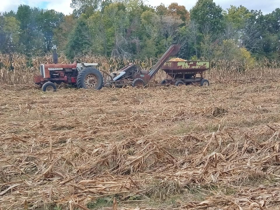 Levi A 1965 International Harvester 1206