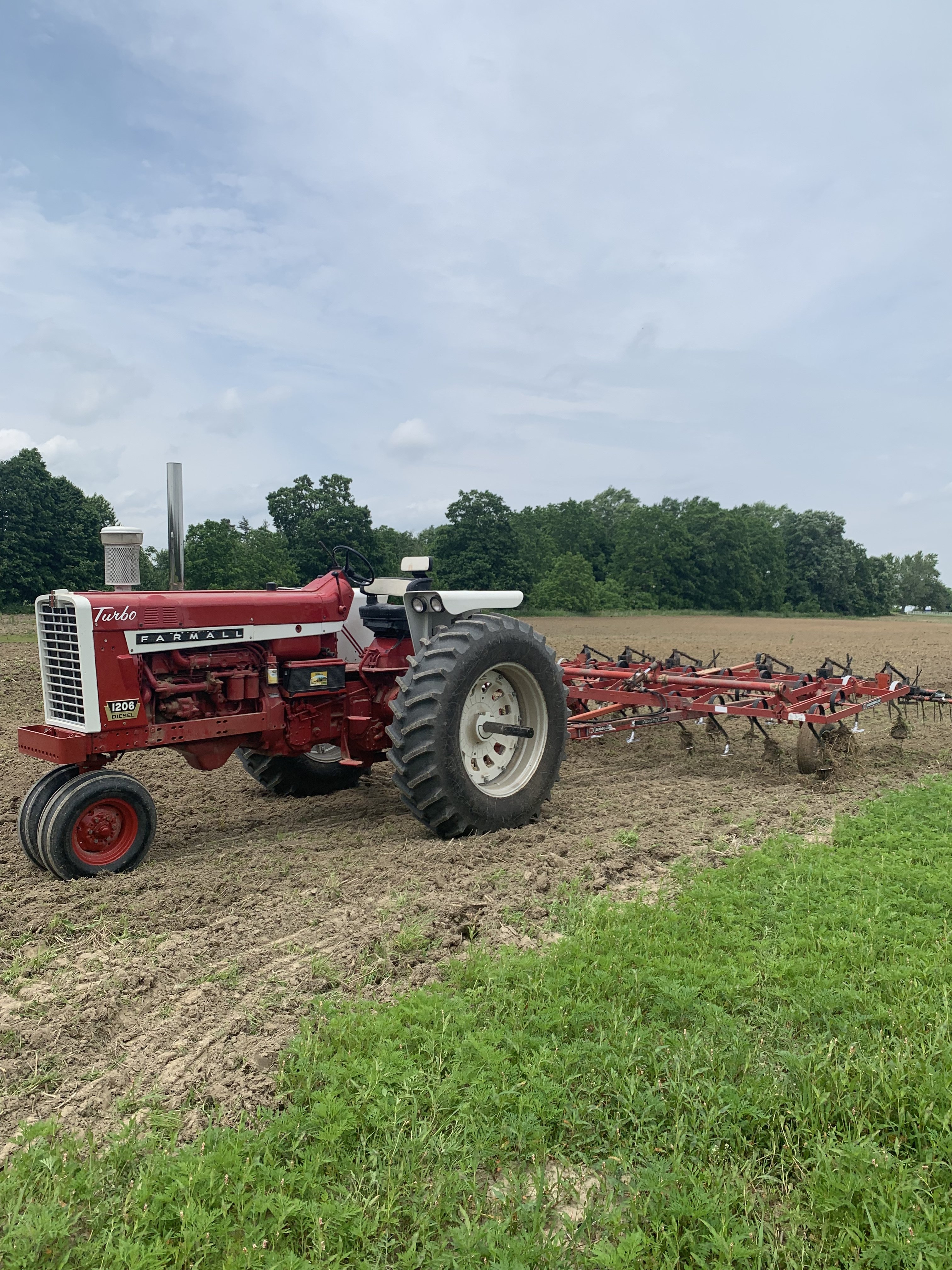 Veronica B 1966 International Harvester Farmall 1206