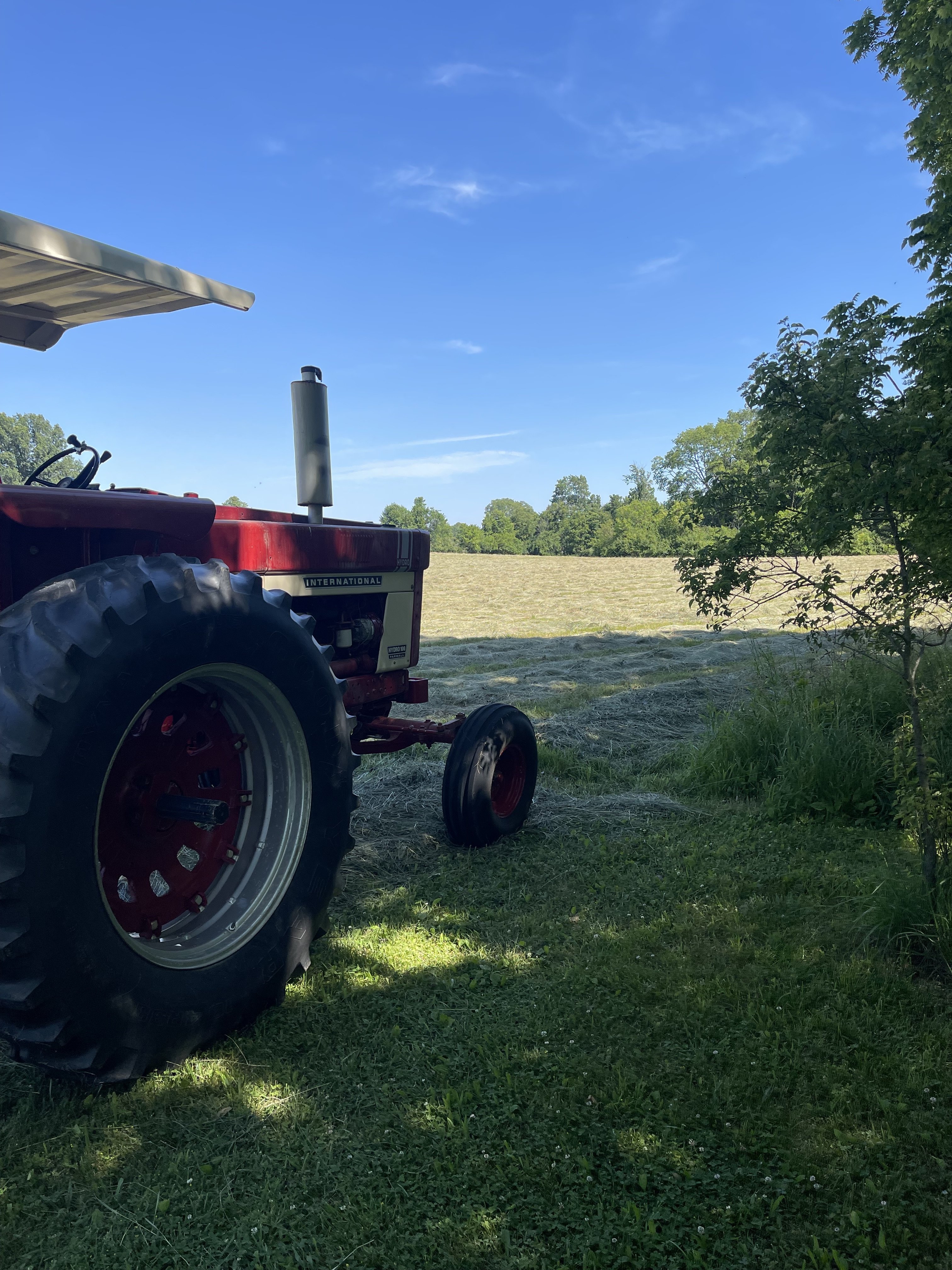 Matthew S 1974 International Harvester Hydro 100