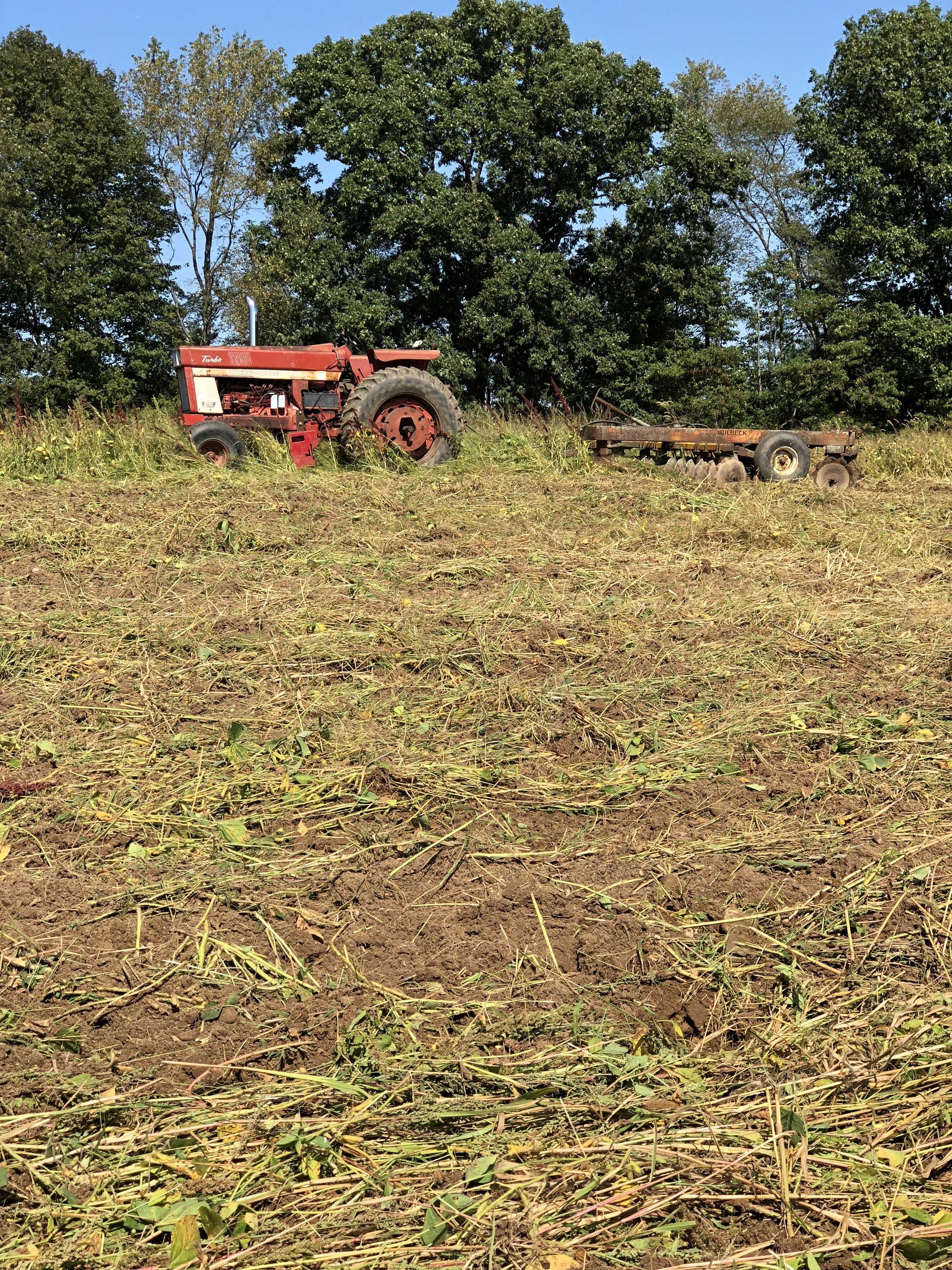 Daniel G 1973 International Harvester 1066