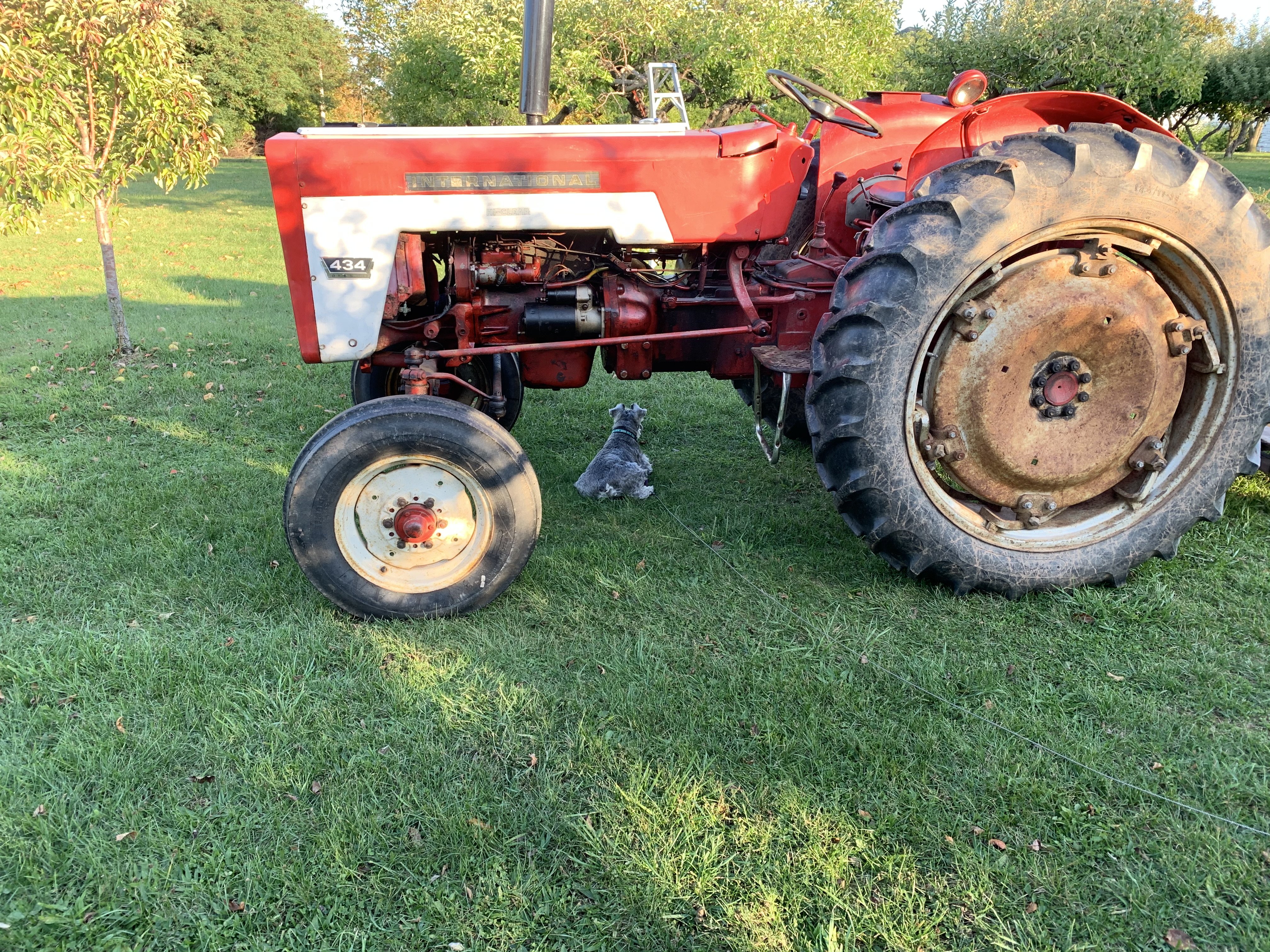 Milan A 1966 International Harvester 454